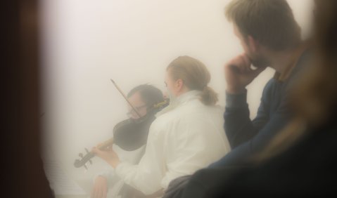 Musiker im Nebel. Das Solistenensemble Kaleidoskop. Foto: Hufner