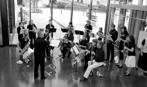 Das Saxophonorchester „Variosax“ des Albert-Schweitzer-Gymnasiums Neckarsulm. Foto: privat