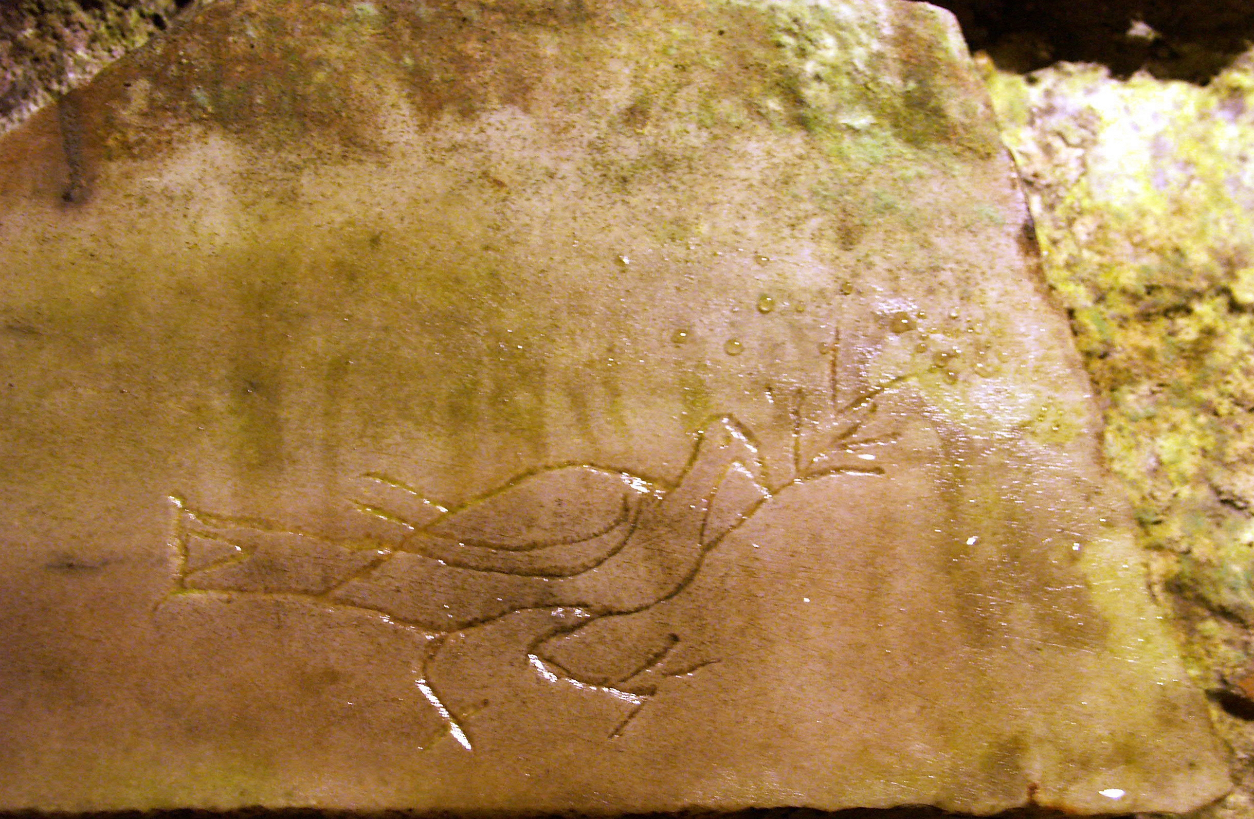 Steintafel mit einer Darstellung einer Taube mit einem Ölzweig in den Domitilla-Katakomben in Rom (etwa 2. nachchristliches Jahrhundert). © Wikimedia Commons, Dnalor_01, Lizenz CC-BY-SA 3.0