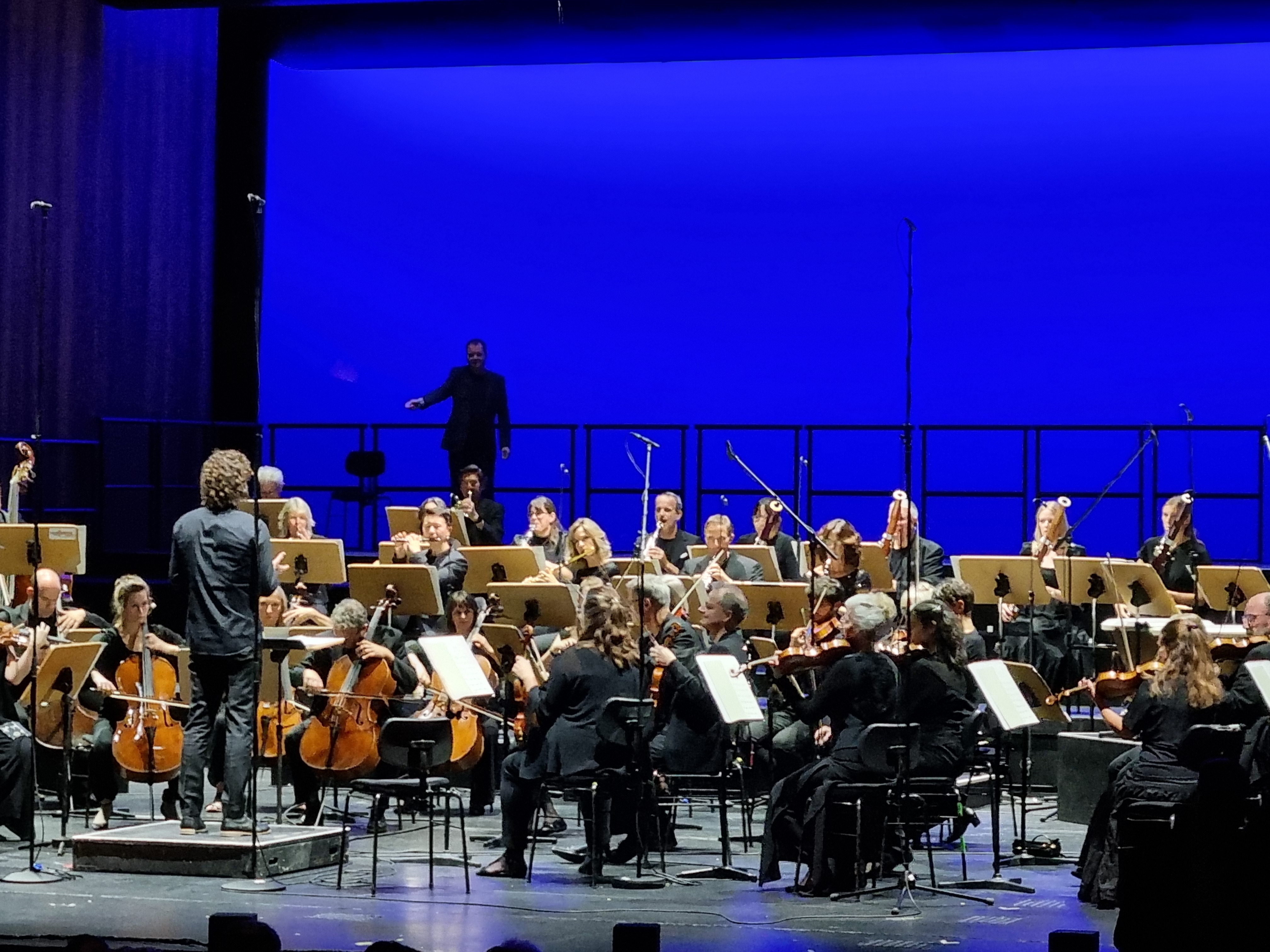 Vor blauem Hintergrund sitzen das Orchester und spielt.