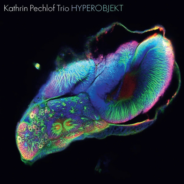 Kathrin Pechlof Trio