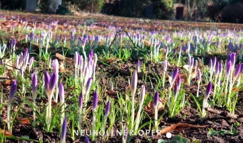 „Wir wollen den Frühling“ - © Odelia Tode