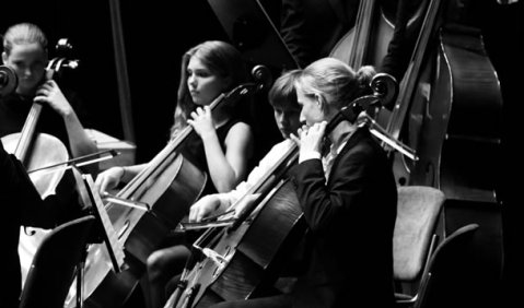 „Die Mozartstädter“, das Sinfonieorchester der Sing- und Musikschule Mozartstadt Augsburg, beim Festkonzert unter der Leitung von Heinz Schwamm. Foto: VBSM