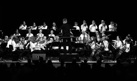 Symphonieorchester der Städtischen Musikschule Mühldorf am Inn. Foto: VBSM