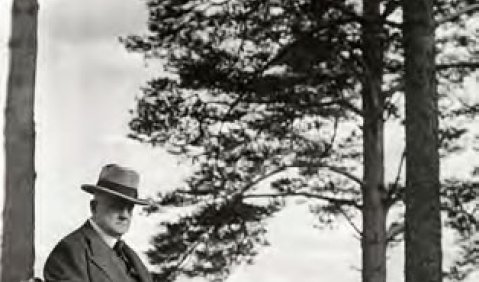 Volker Tarnow: Sibelius. Biografie, Henschel Verlag, Leipzig / Bärenreiter Verlag, Kassel 2015, 288 S., € 24,95, ISBN 978-3-89487-941-9