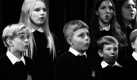 Öffentliche Musikschulen sind musikalische Kompetenzzentren im kommunalen Wirkungsbereich. Foto: VBSM