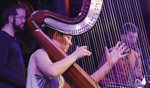 Harfe, Saxophon und Kontrabass: Kathrin Pechlof liebt diese Triobesetzung. Foto: Ralf Dombrowski