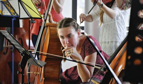 Pattern-orientiertes „Musizieren auf Streichinstrumenten mit Nicht-Streichern“, angeleitet von  Ulrich Menke: eine von annähernd 400 gut besuchten Veranstaltungen auf dem BMU-Kongress in Koblenz. Foto: Susanne van Loon