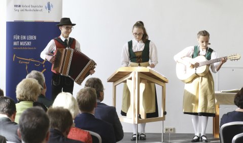 Tradition aus dem Alpenraum: Ensemble der Musikschule im Landkreis Passau. Foto: VBSM