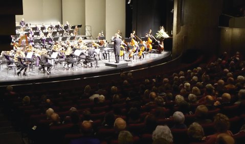 Verbindungen zwischen den beiden tutti pro-Orchestern bestehen auch über Manfred Hof, Dirigent des Jugendsinfonieorchesters und als Trompeter Mitglied der Neuen Philharmonie Westfalen. Foto: M. Böhm