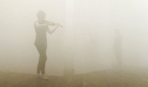 Nachschlag im Nebel. Foto: Hufner