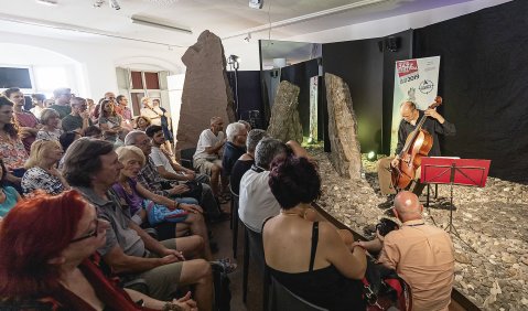 Hank Roberts solo im Naturmuseum Südtirol Bozen. Foto: Günther Pichler Herunterladen (39.59 Mb/Zip-File)  Foto: P. Steinheißer