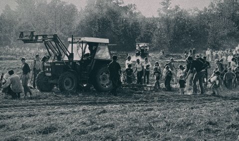 Mensch und Maschine: Trecker mit Kartoffelsammlern als idyllische Pastorale oder dunkle Vorhölle? Foto: Martin Hufner