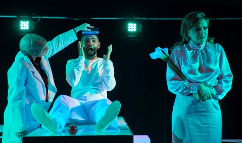 Ruth Katharina Peeck (Scheffler), Marcelo de Souza Felix (Lette), Anna Lucia Struck (Fanny). Foto: Björn Hickmann, Stage Picture