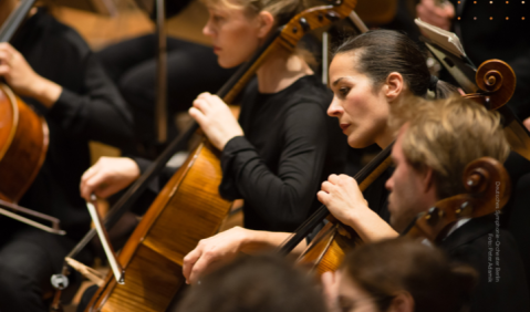 Niedriger Frauenanteil bei Spitzenorchestern. Foto: MIZ, Peter Adamik