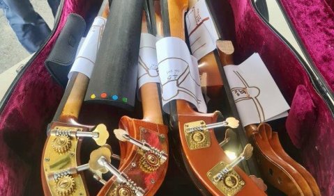 Foto der Teile der Streichinstrumenten. Foto: Hauptzollamt Lörrach