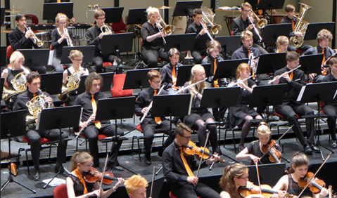 Das Jugendsinfonieorchester Schwerin. Foto: jso-schwerin.com