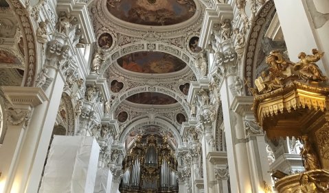 Sanierung der Passauer Domorgel beginnt. Foto: Lieberwirth