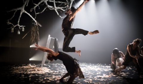 Die National Dance Compagnie Wales bei der Tanzmesse NRW. Foto: Presse, Rhys Cotens