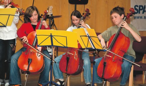 Die Streichergruppe, die sich für das ensembletreffen den Namen „Donner-strings“ gegeben hat. Foto: Dietling Bäuerle-Uhlig