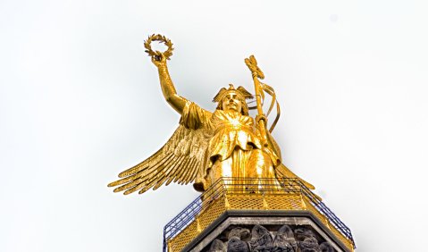 Gold-Else. Foto: Hufner