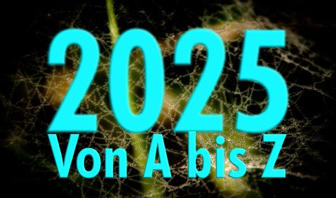 Das Kulturjahr-AbisZ