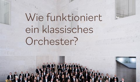 Wie funktioniert ein klassisches Orches­ter? Ein Buch der Wiener Symphoniker, hg. v. O. Biba, Bärenreiter