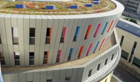 Ein rundes Gebäude mit roten und blauen Fensterrahmen und einem begrünten Dach vom Nachbarhaus herunterfotografiert.