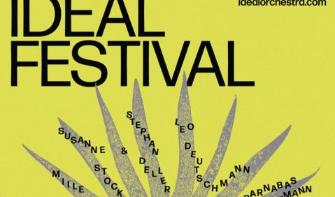 Ideal Festival Plakat 2025 Robin Lambrecht