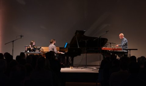 Feldman, Crippled Symmetry mit dem KNM Berlin: Rebecca Lenton, Joseph Houston und Michael Weilacher, Foto: Kai Bienert