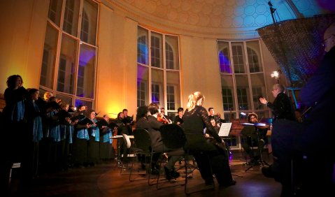 Phoenix Festival. Foto: Johanna Bock