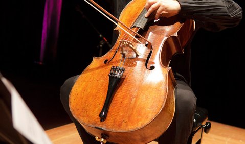 Mit Jan Vogler auf Pilz- und Tonsuche. Foto: Klaus Gigga