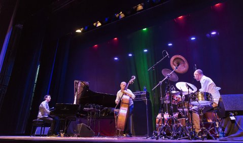 Avishai Cohen Trio. Photo: Kentaroo