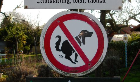 Nähe Großschlattengrün. Fotomontage: Hufner