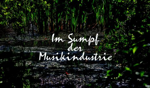 Im Sumpf der Musikindustrie. Foto: Hufner