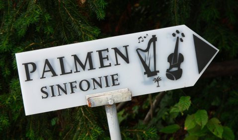 Linzer Torte und Palmen-Sinfonie. Foto: Hufner