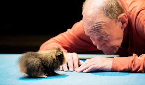 Michael Mendl (Schauspieler). Foto: Monika Rittershaus.