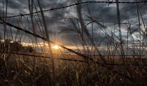 Stacheldraht und Sonnenuntergang