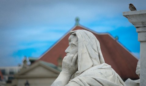 Die haben doch 'nen Vogel. Foto: Hufner