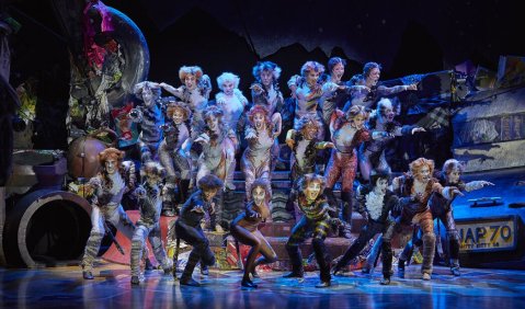 Musical Cats