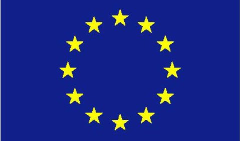 EU Flagge