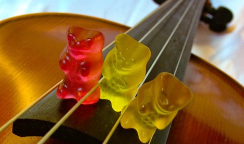 Gummib&auml;ren auf Geige