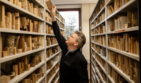 Ein Blick in die umfangreiche Referenzxylothek am Institut für Holzforschung (Thünen) in Hamburg. Die Holzstücke werden wie Bücher in Regalen gesammelt. ©Thünen-Institut, Ilja Hendel