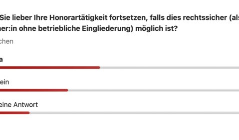Würden Sie lieber Ihre Honorartätigkeit fortsetzen, falls dies rechtssicher (als freie:r Unternehmer:in ohne betriebliche Eingliederung) möglich ist? Ja (44 %); Nein (34 %); Keine Antwort (22 %)