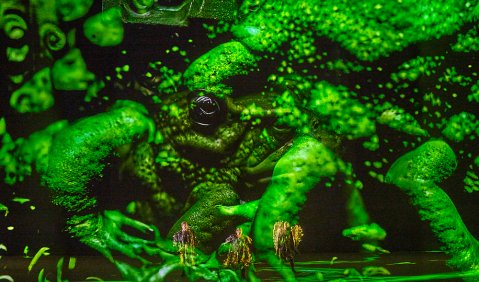 Ring 10010110: Das Rheingold. Foto: Bayreuther Festspiele / Enrico Nawrath
