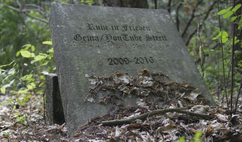 Foto „Ruhe in Frieden“: M. Hufner