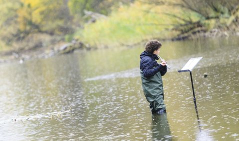 „Wasserwege“ in den Auen des Wiener Praters: Stücke der Kompositionsklasse von Carola Bauckholt. Foto: Markus Sepperer