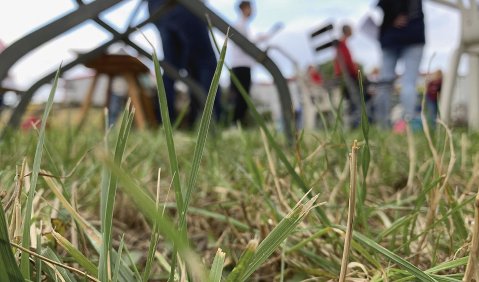 Das neue Normal für Chöre: Gesungen wird draußen. Foto: Bundesakademie