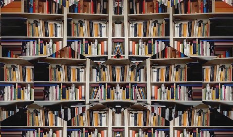 Aussterbende Spezies: Das Bücherregal samt gedrucktem Inhalt als Speichermedium im privaten und öffentlichen Raum. Foto: Martin Hufner