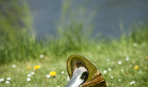 Drei attraktive Sonderpreise - Der Deutsche Orchesterwettbewerb 2016 ging zu Ende. Foto: DOW